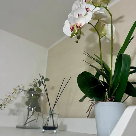 Casa Alessio - Elegante Nel Cuore Di Apartment Cesano Maderno